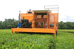Harvester in action - Daintree Tea Company